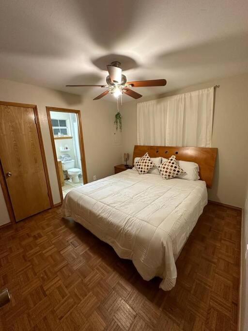 Mcallen 4Br With Pool, Shopping & More Kültér fotó