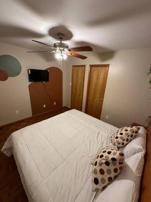 Mcallen 4Br With Pool, Shopping & More Kültér fotó